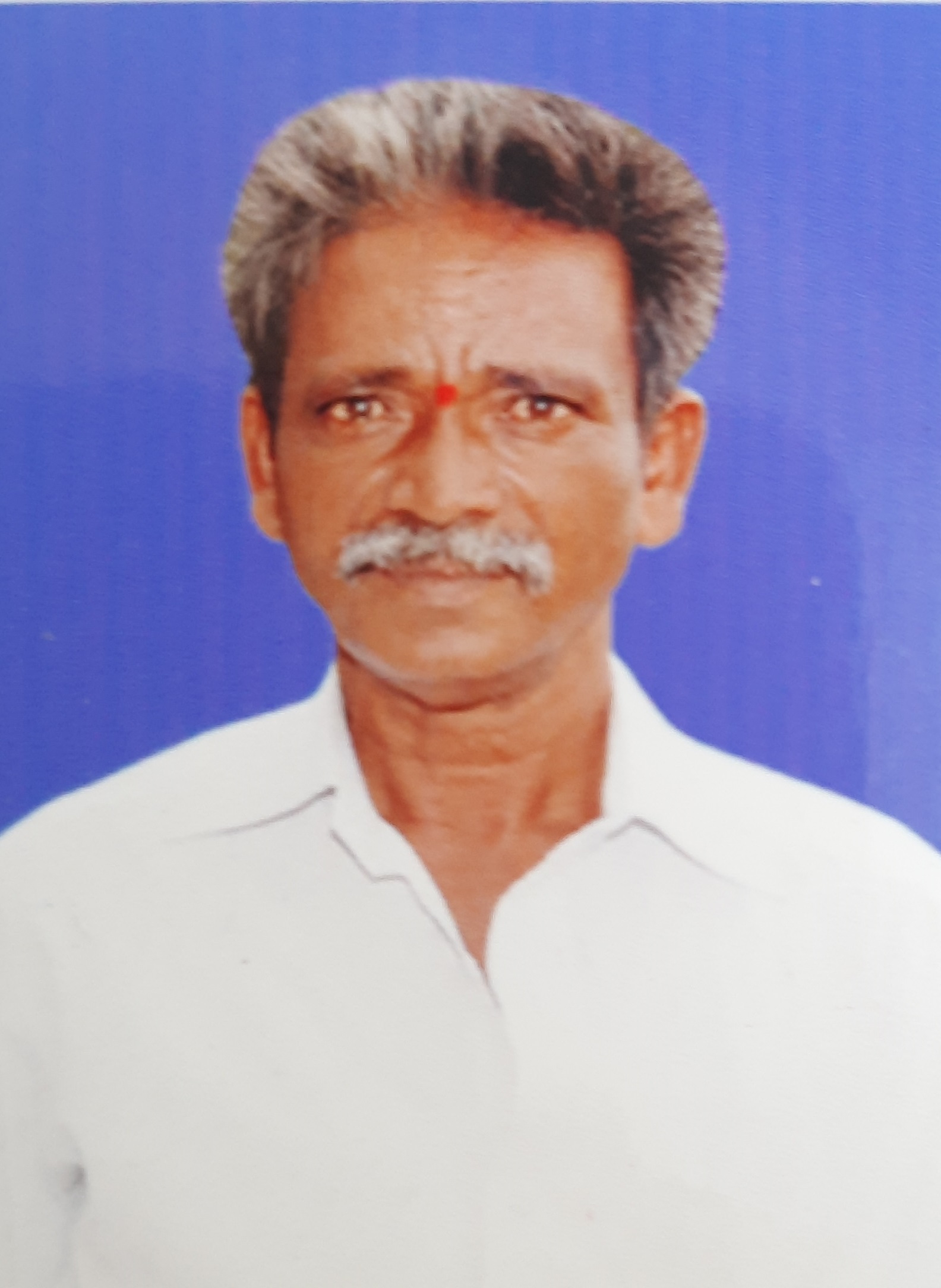 శ్రీ నెల్లూరు సుబ్బారావు